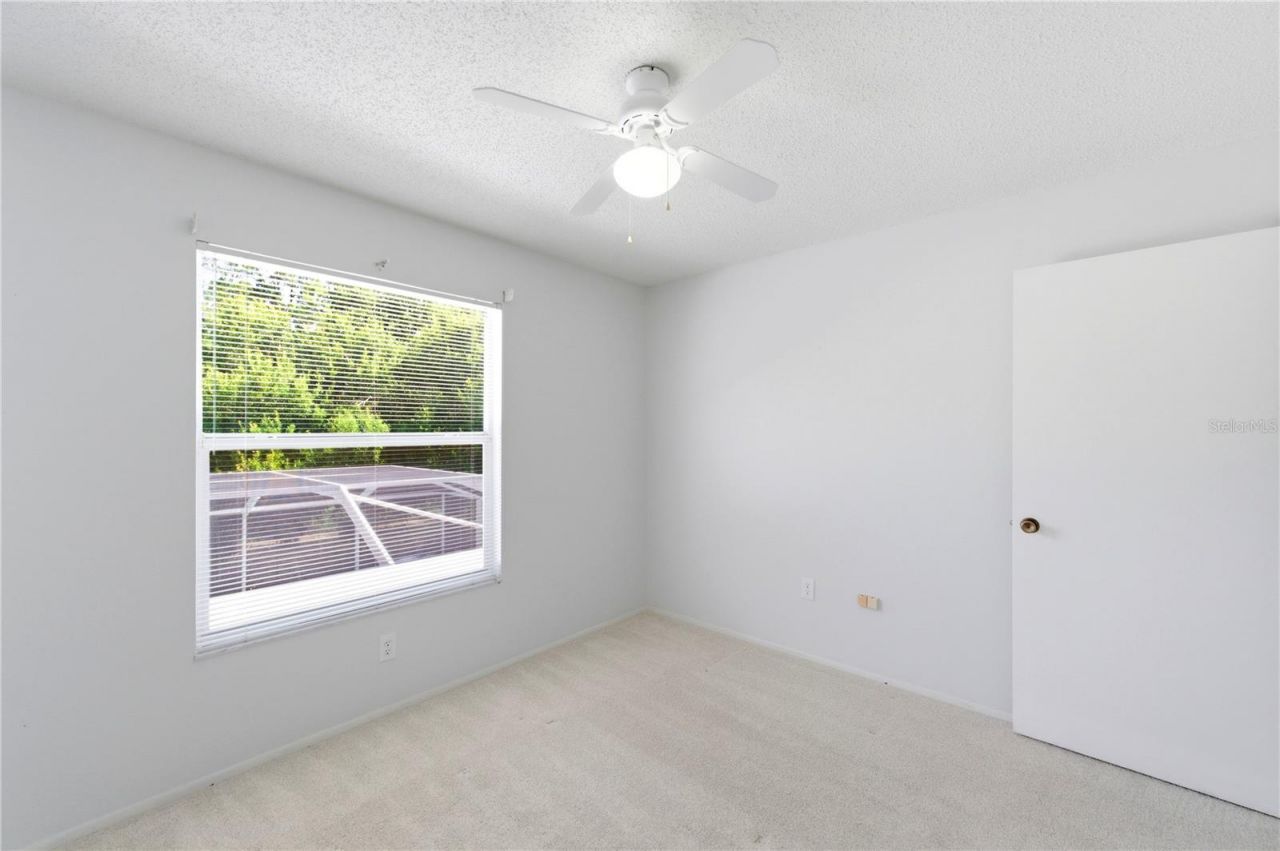 11213 Clayridge Drive, Tampa, FL 33635 Photo