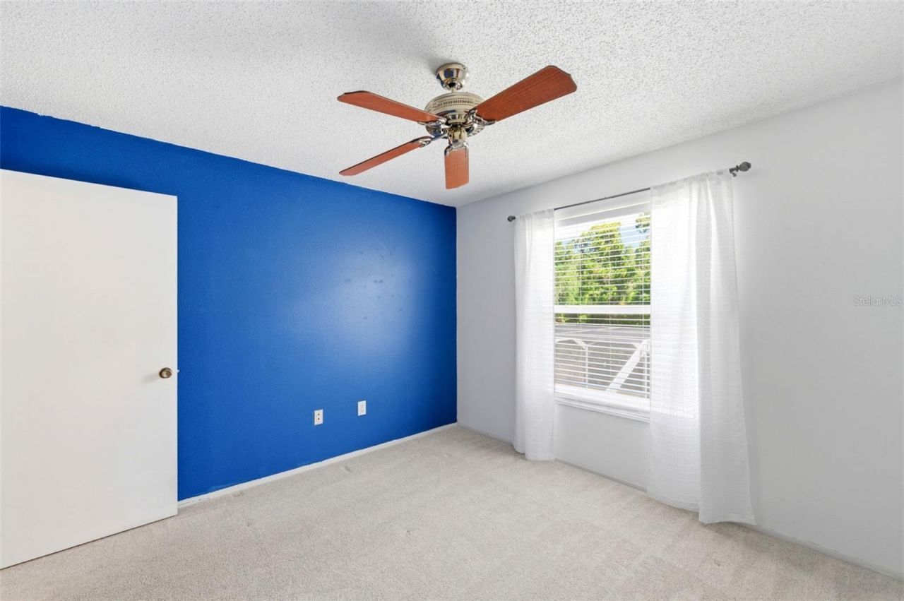 11213 Clayridge Drive, Tampa, FL 33635 Photo