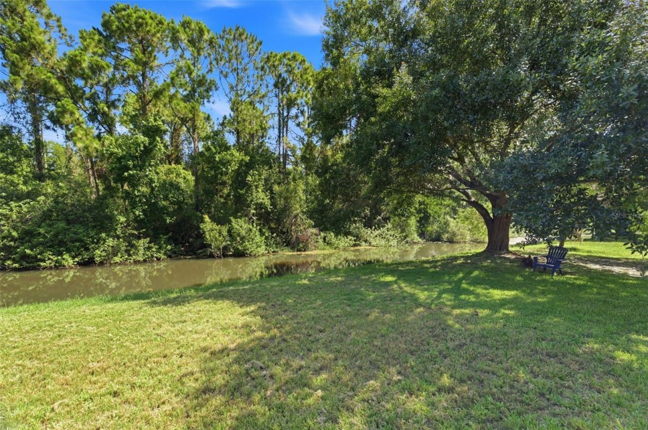 11213 Clayridge Drive, Tampa, FL 33635 Photo