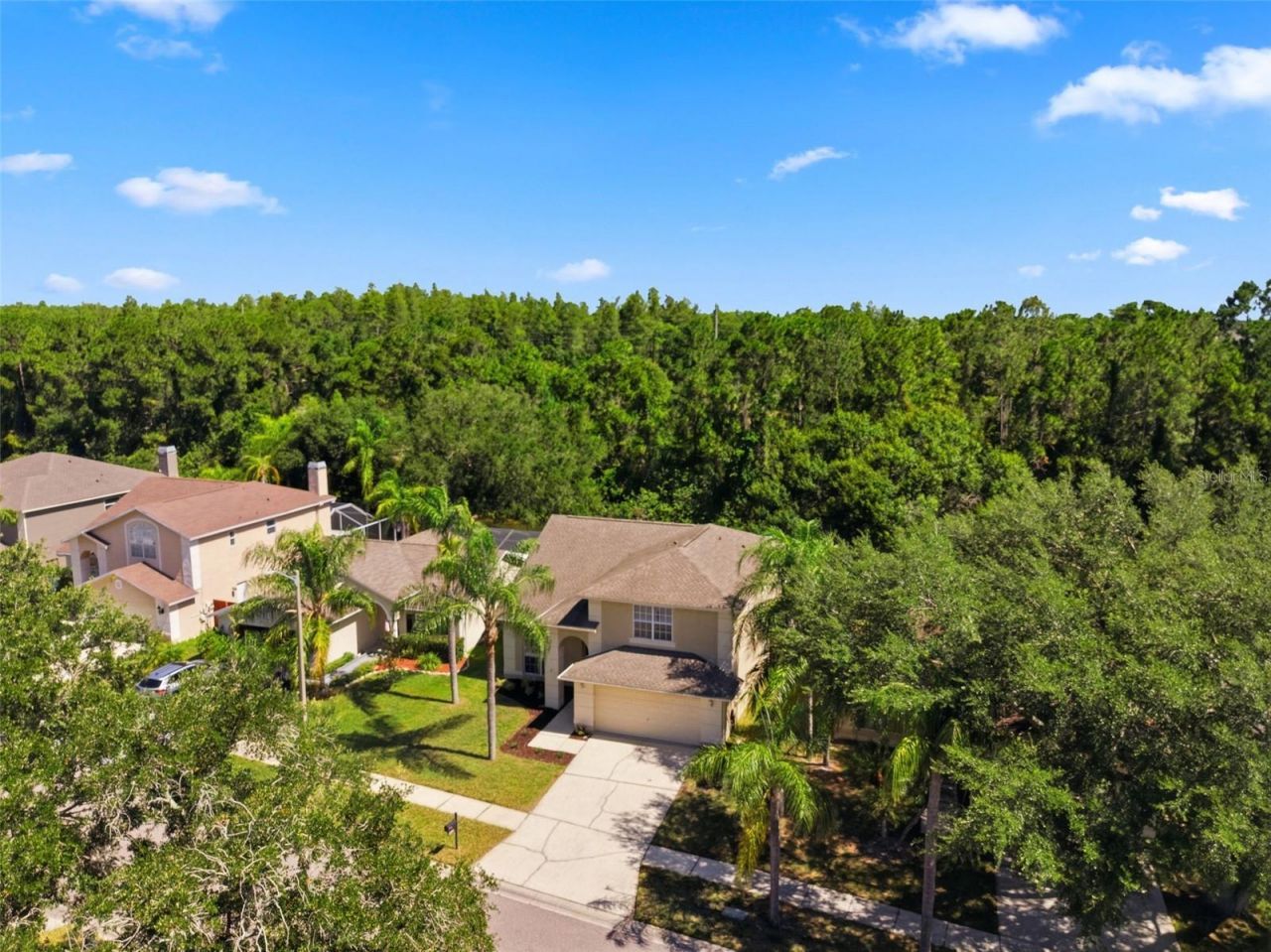 11213 Clayridge Drive, Tampa, FL 33635 Photo