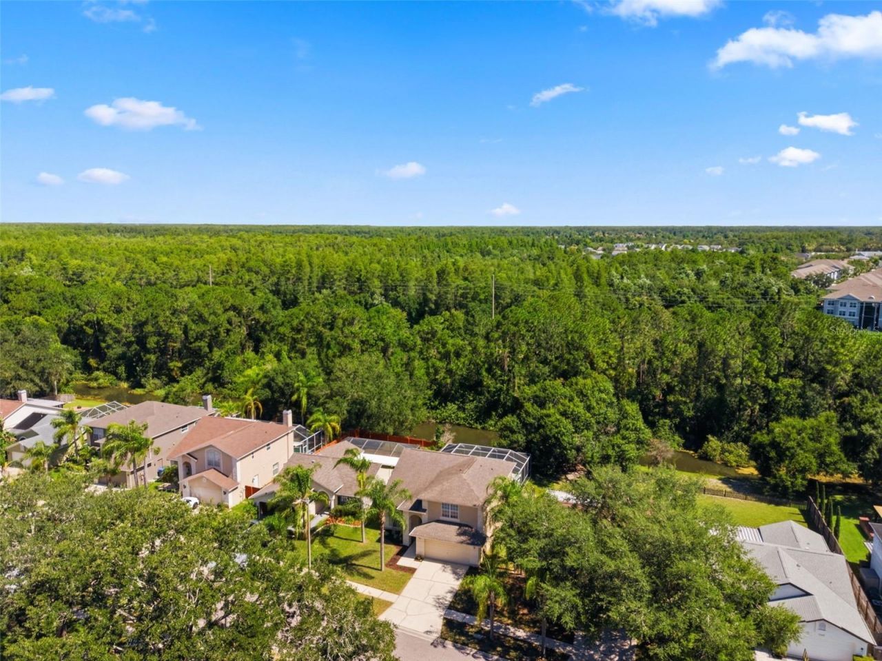 11213 Clayridge Drive, Tampa, FL 33635 Photo
