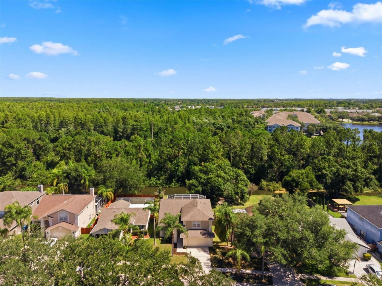 11213 Clayridge Drive, Tampa, FL 33635 Photo