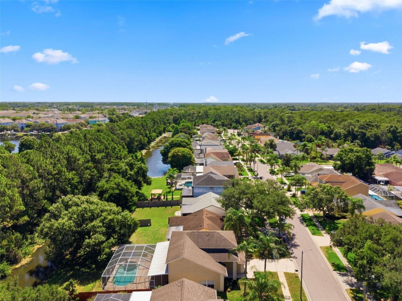 11213 Clayridge Drive, Tampa, FL 33635 Photo