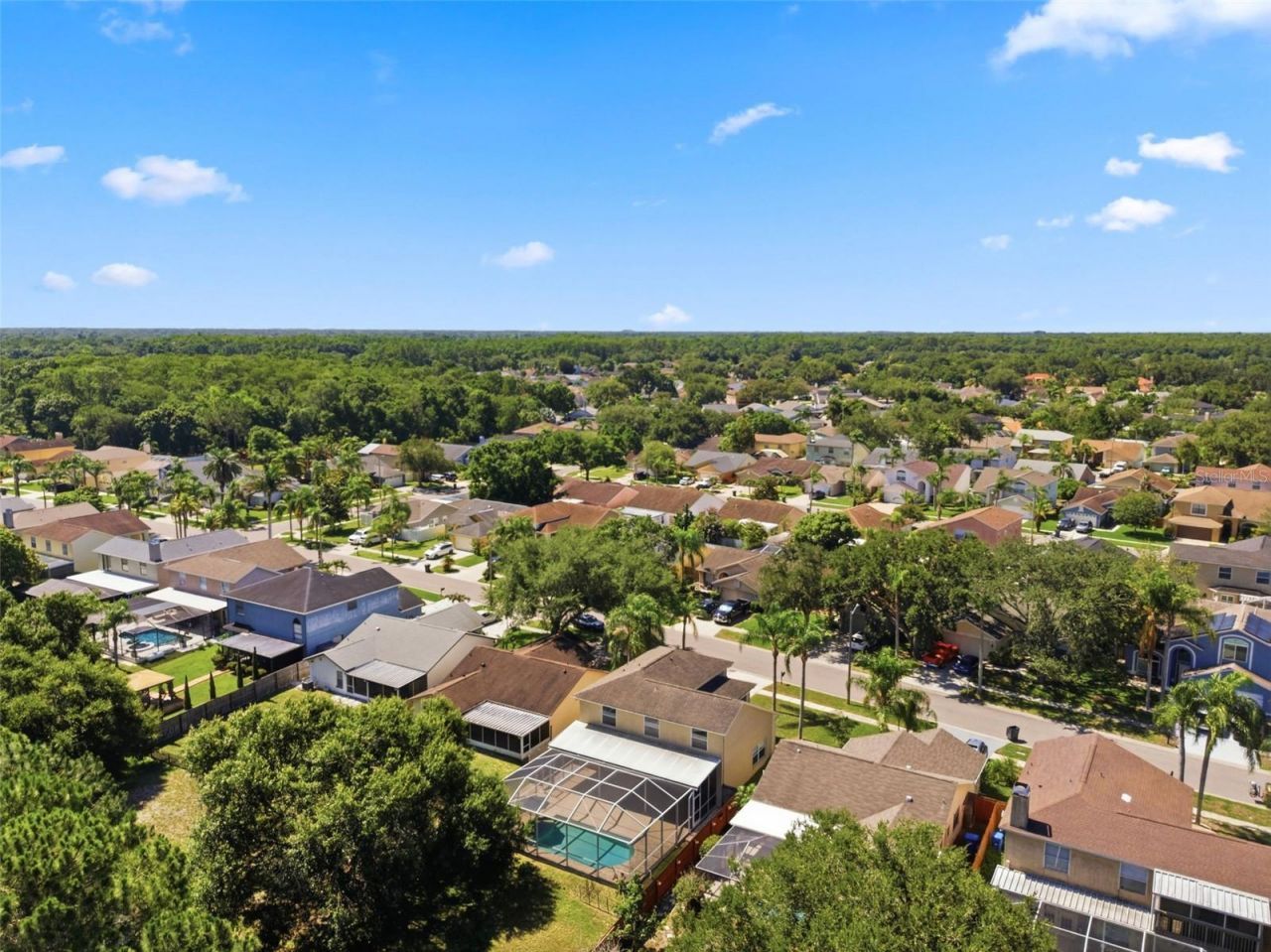 11213 Clayridge Drive, Tampa, FL 33635 Photo