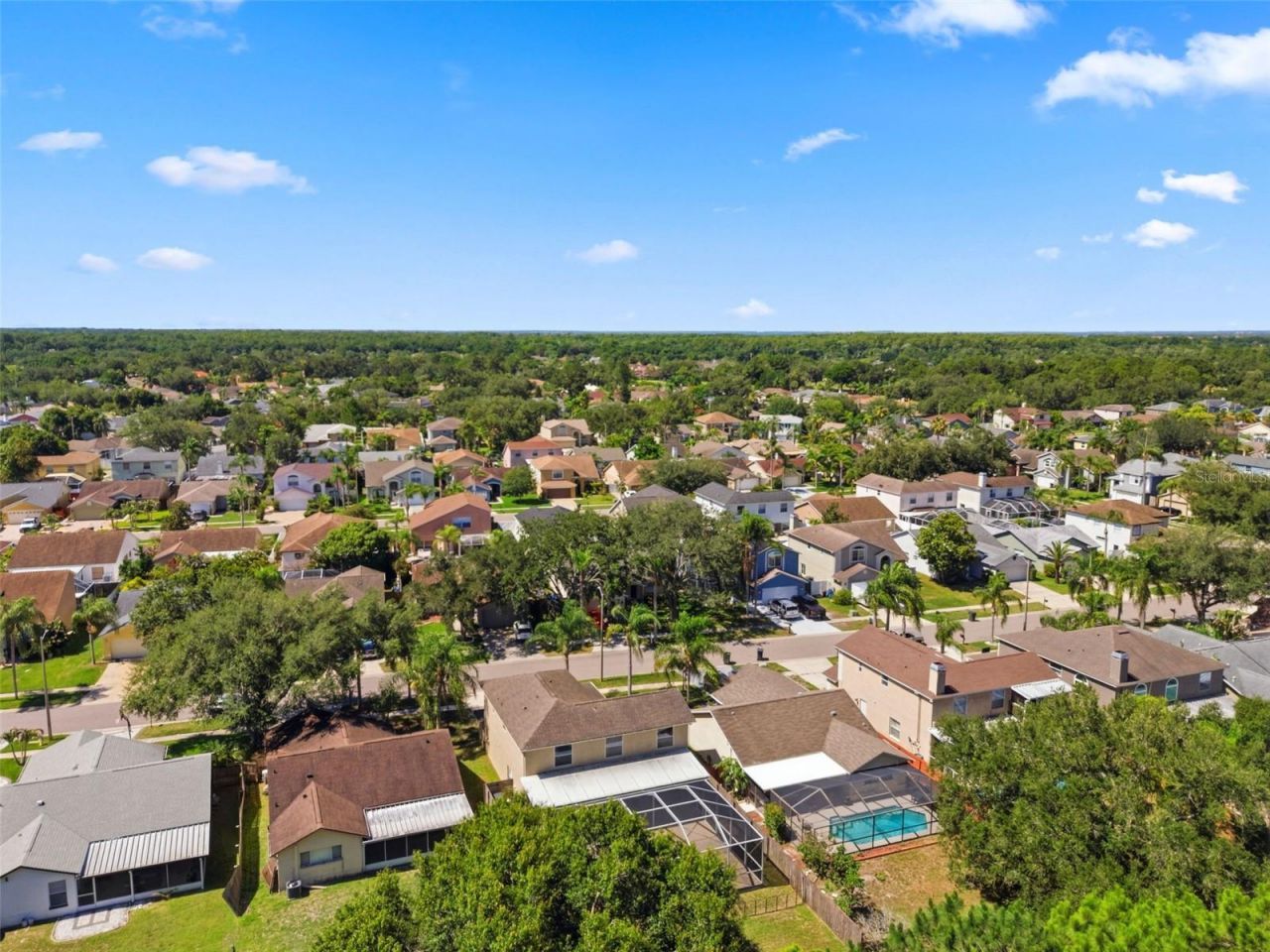 11213 Clayridge Drive, Tampa, FL 33635 Photo