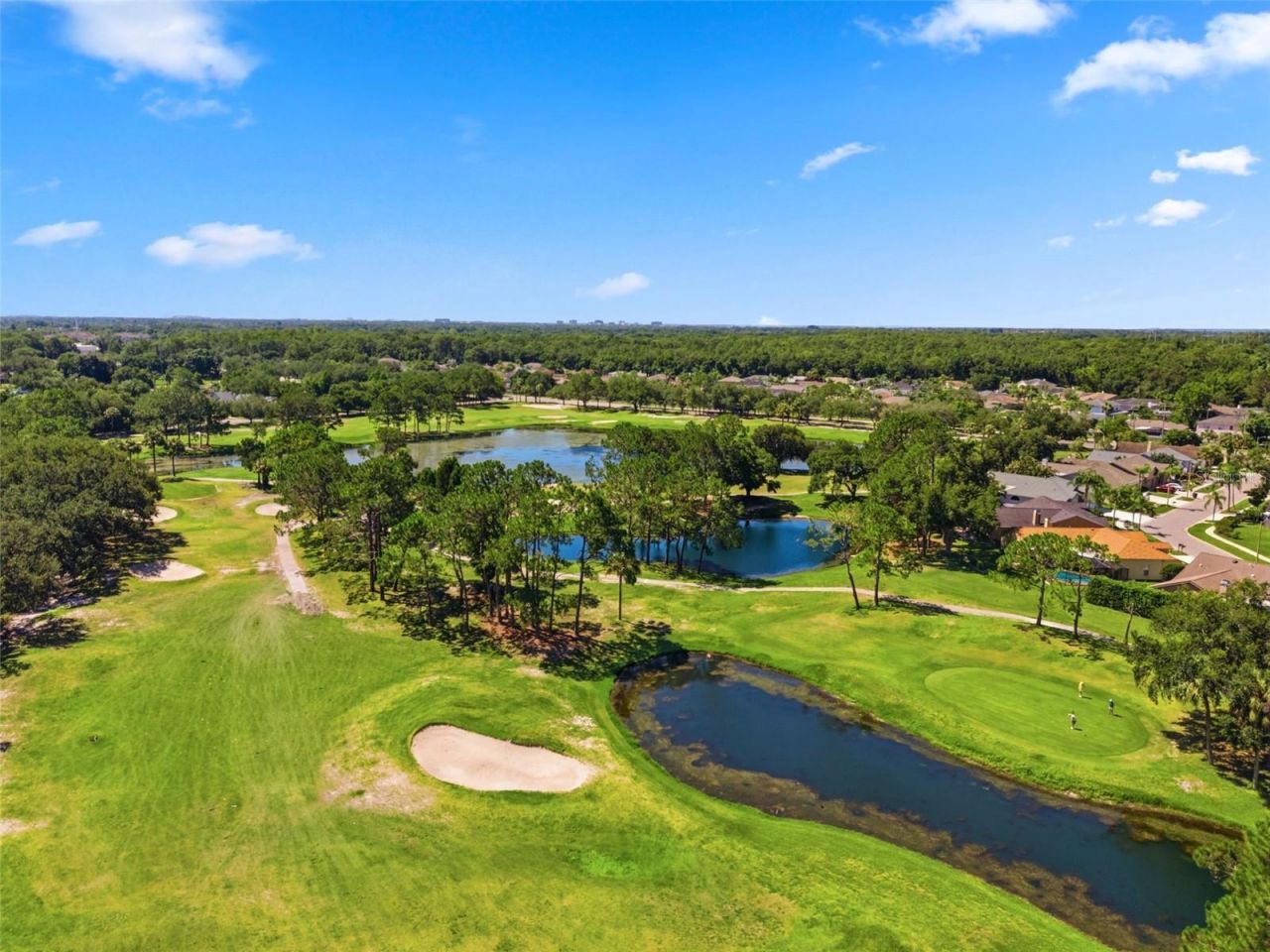 11213 Clayridge Drive, Tampa, FL 33635 Photo