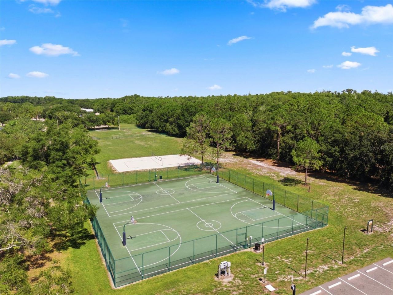 11213 Clayridge Drive, Tampa, FL 33635 Photo