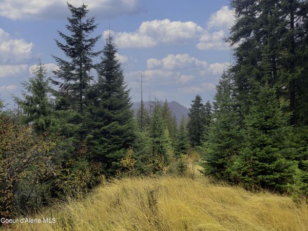 NKA White Cloud Dr , Sandpoint, ID 83864