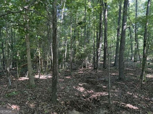 0 Wildwood Lane, Thomson, GA 30824