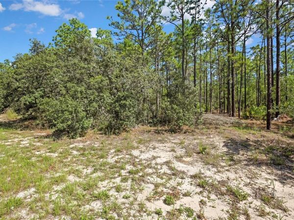 4156 W HORSESHOE DRIVE , BEVERLY HILLS, FL 34465