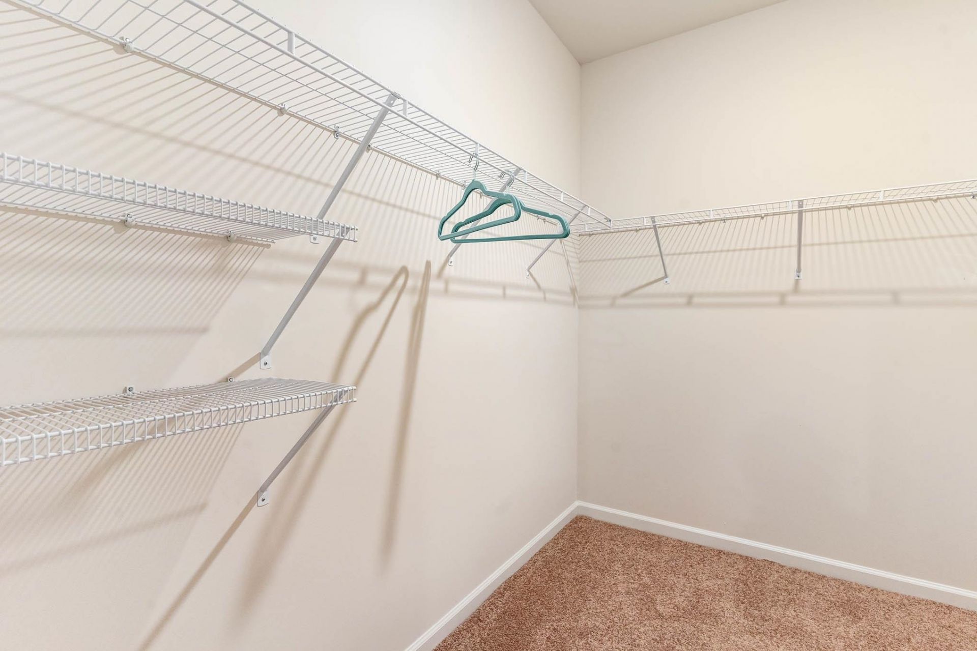 2093 Locust Ridge Dr. Photo 14