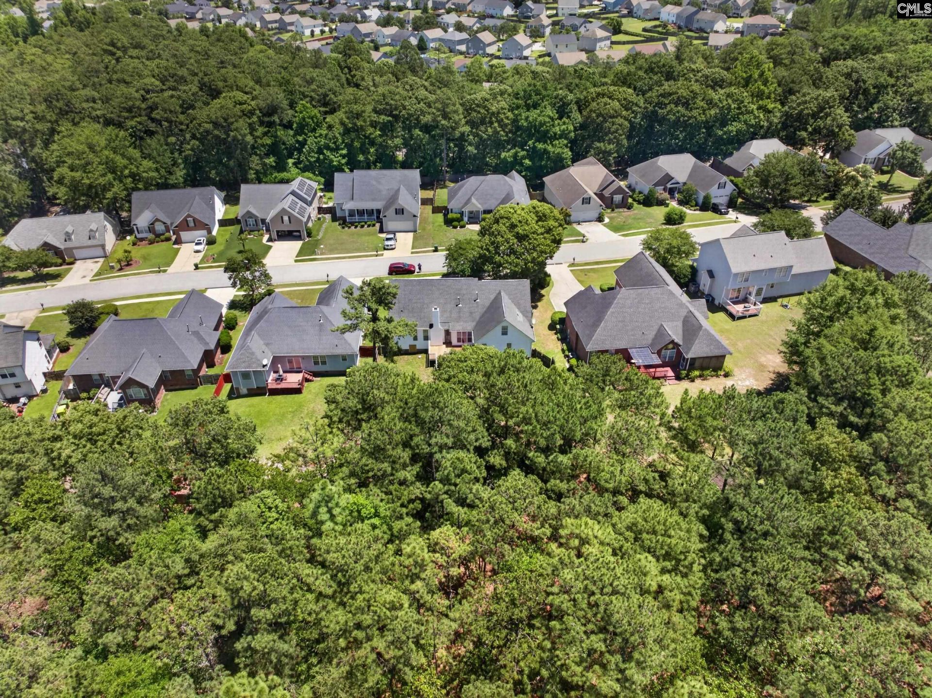 219 Plantation Pointe Drive  Photo 49