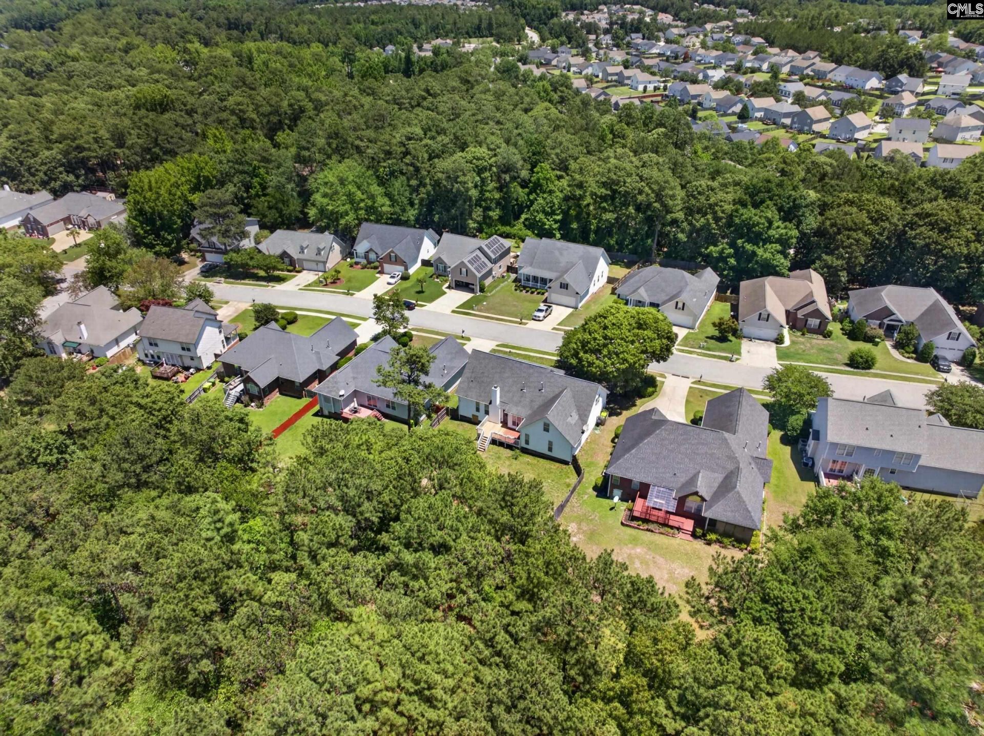 219 Plantation Pointe Drive  Photo 53