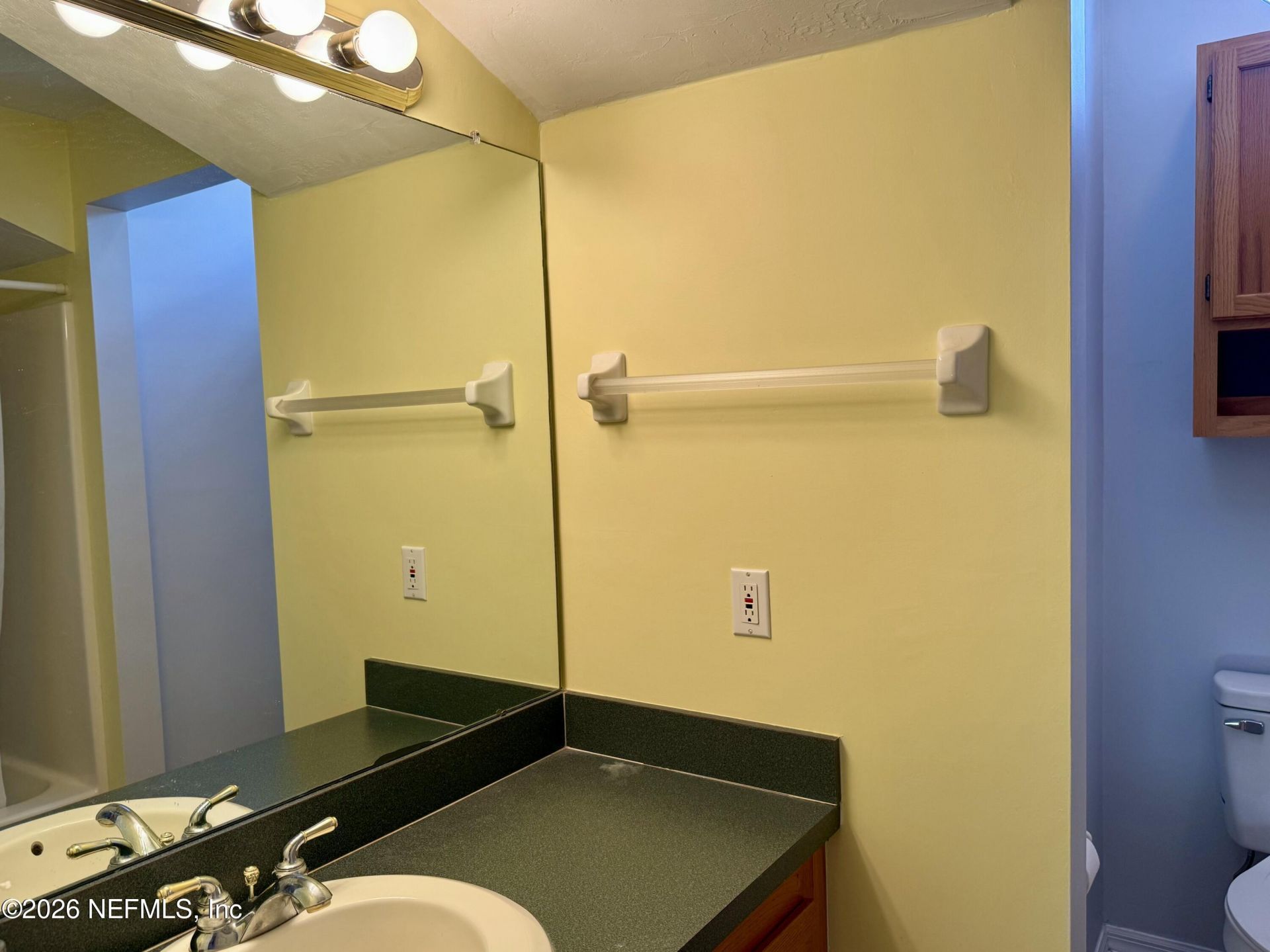 382 NW Emerald Lakes Drive, Lake City, FL 32055 Photo