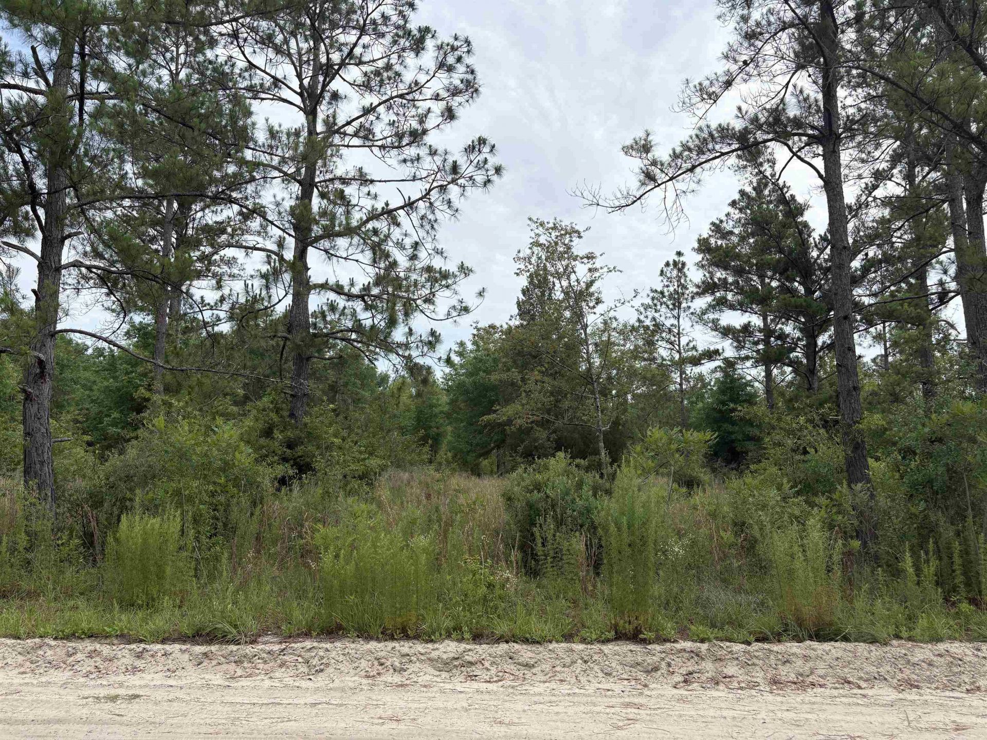 000 NW 48th Way , Jennings, FL 32053 Photo