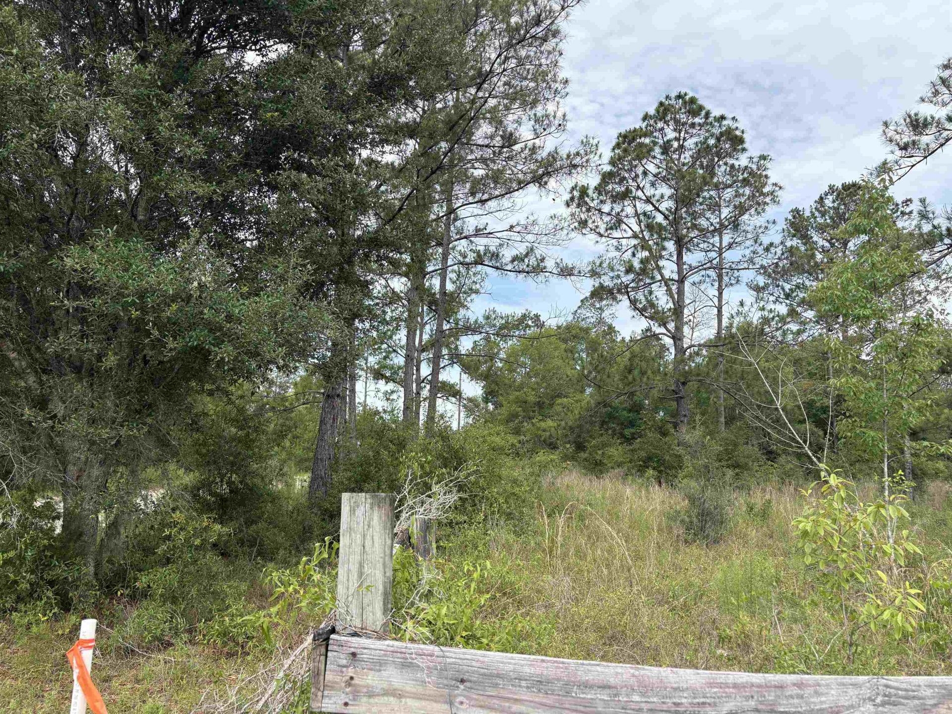 000 NW 48th Way , Jennings, FL 32053 Photo