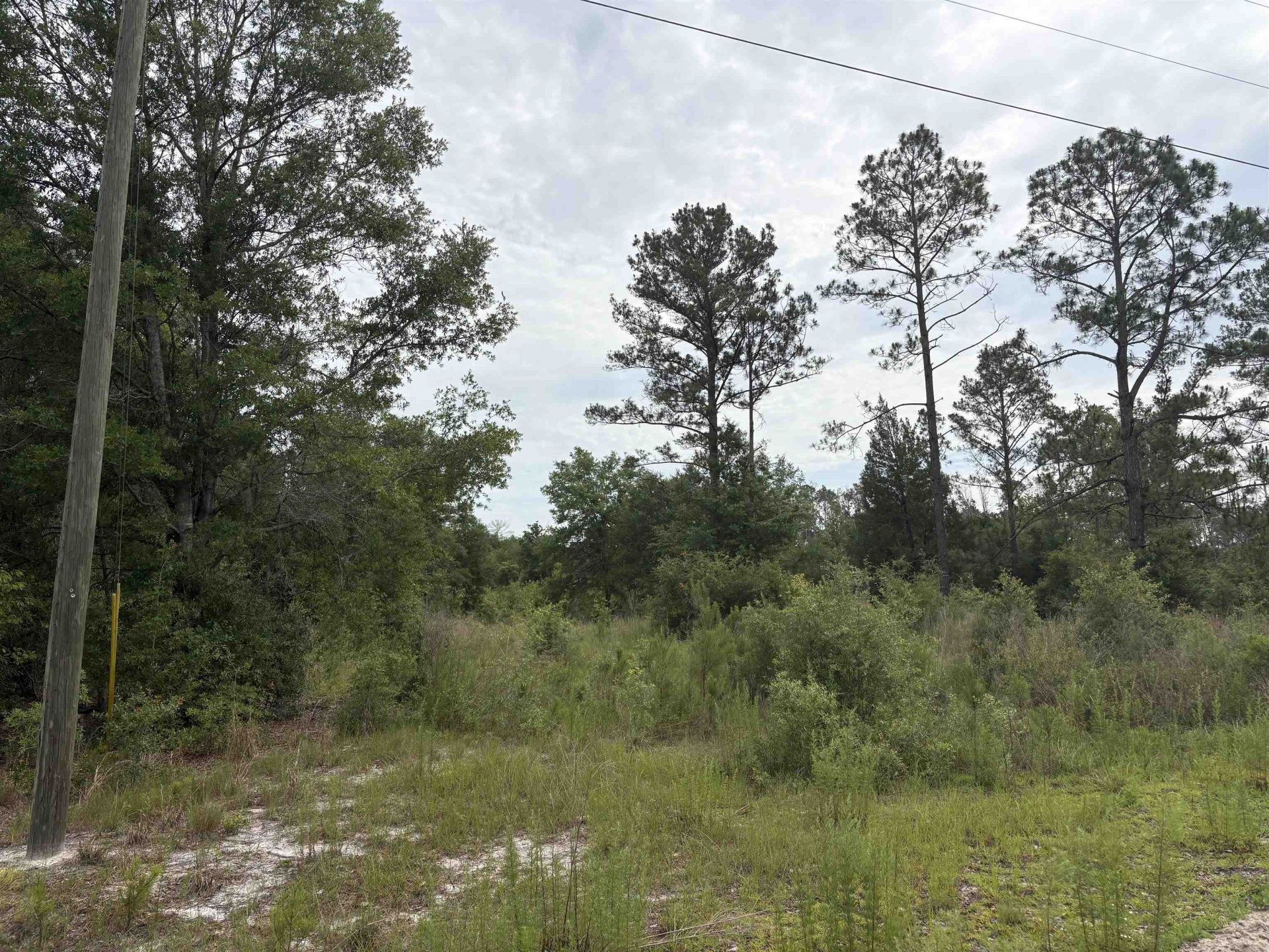 000 NW 48th Way , Jennings, FL 32053 Photo
