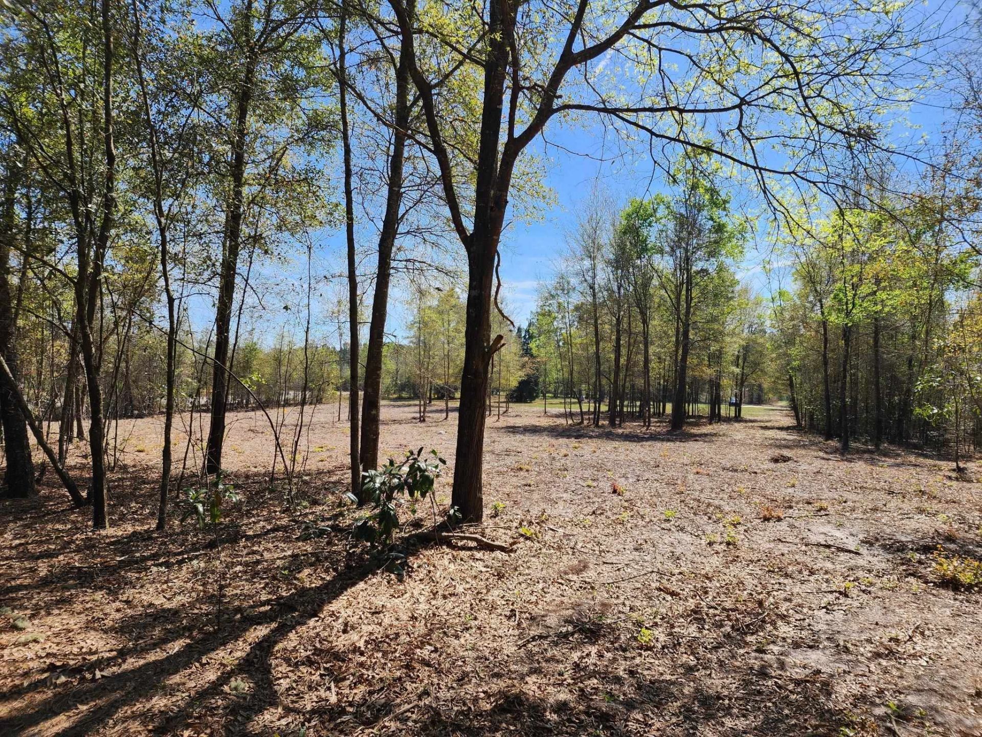 000 NW 48th Way , Jennings, FL 32053 Photo