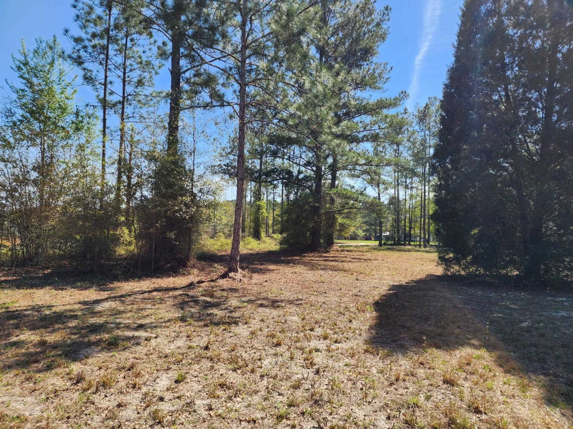 000 NW 48th Way , Jennings, FL 32053 Photo