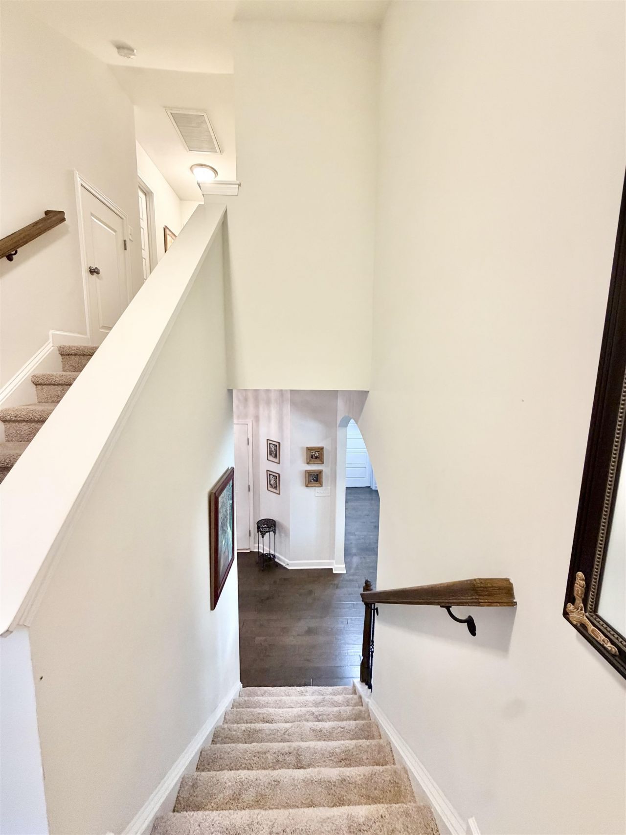 3722 White Wing Circle  Photo 22