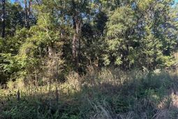 00 Joyner Lane photo 4