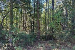 00 Joyner Lane photo 4