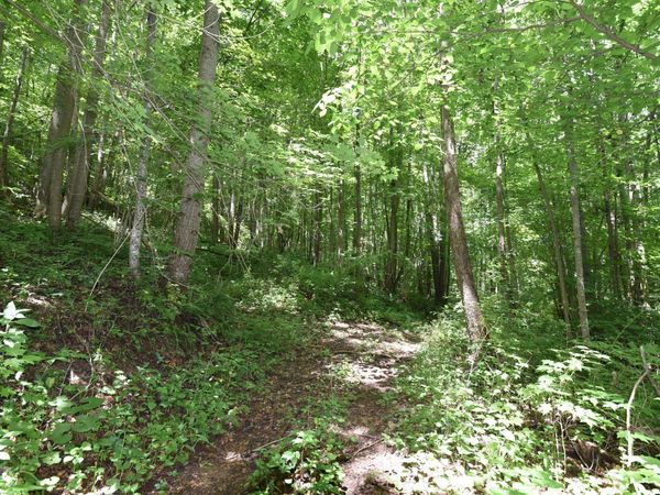 23769 State Route 327 , Laurelville, OH 43135