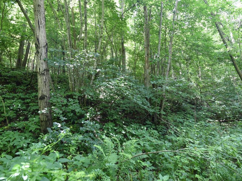 23769 State Route 327, Laurelville, OH 43135 Photo 14