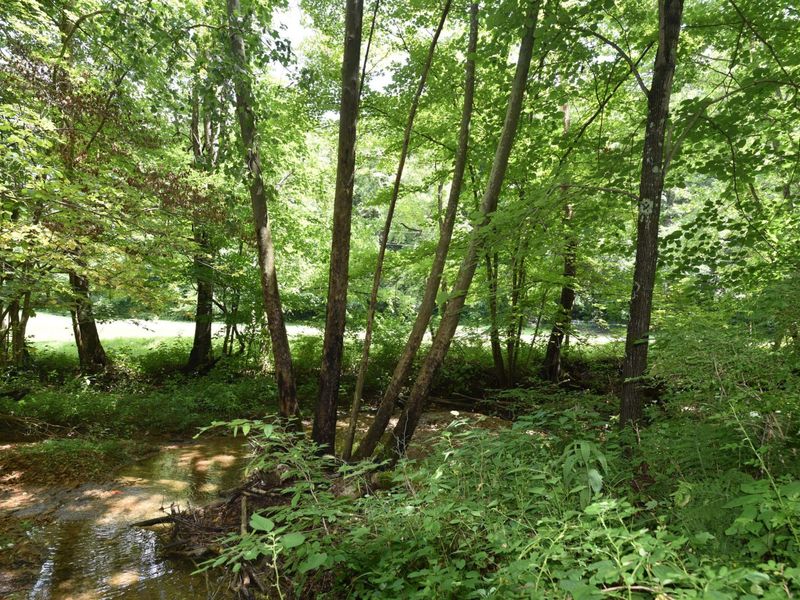 23769 State Route 327, Laurelville, OH 43135 Photo 16