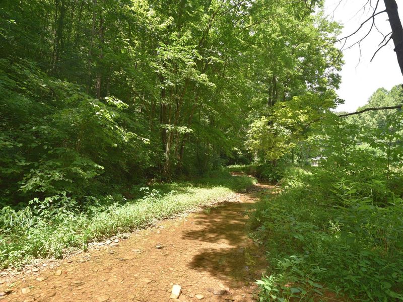 23769 State Route 327, Laurelville, OH 43135 Photo 18