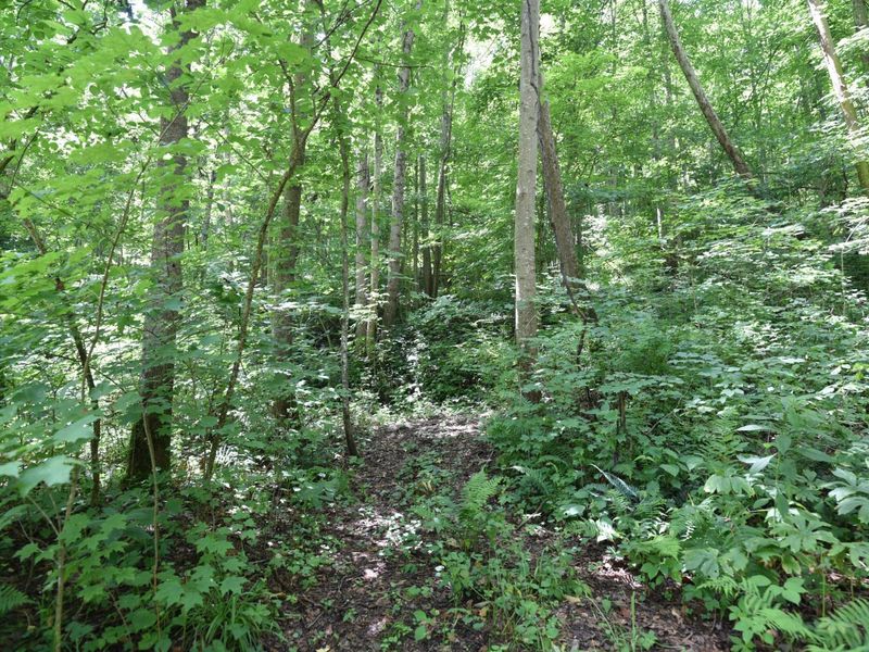 23769 State Route 327, Laurelville, OH 43135 Photo 19
