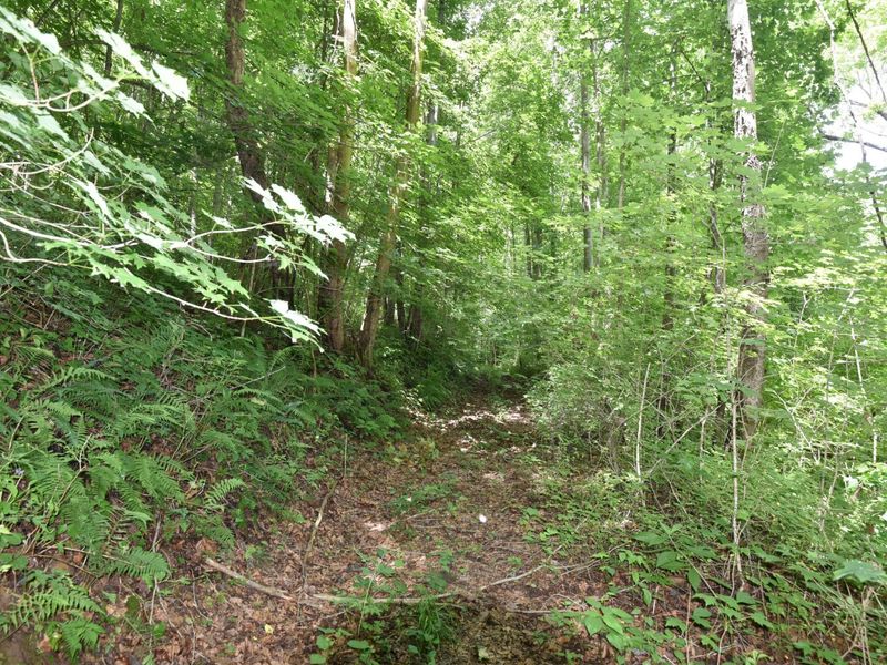 23769 State Route 327, Laurelville, OH 43135 Photo 20