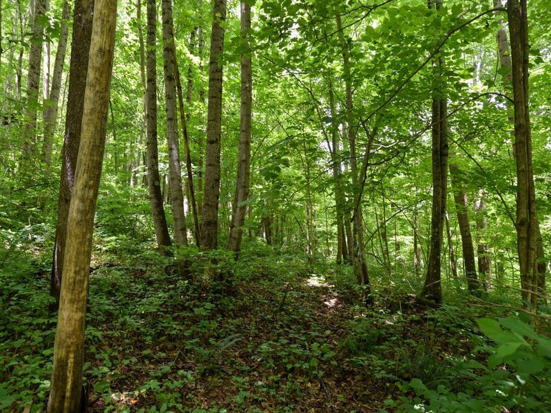 23769 State Route 327, Laurelville, OH 43135 Photo 22