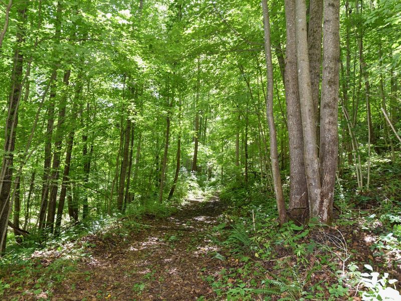 23769 State Route 327, Laurelville, OH 43135 Photo 24