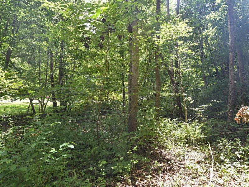 23769 State Route 327, Laurelville, OH 43135 Photo 26