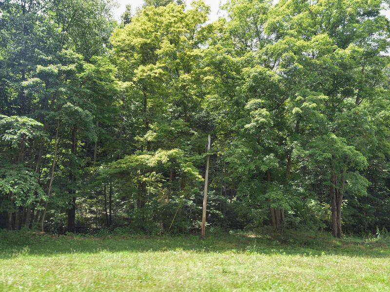 23769 State Route 327, Laurelville, OH 43135 Photo 28