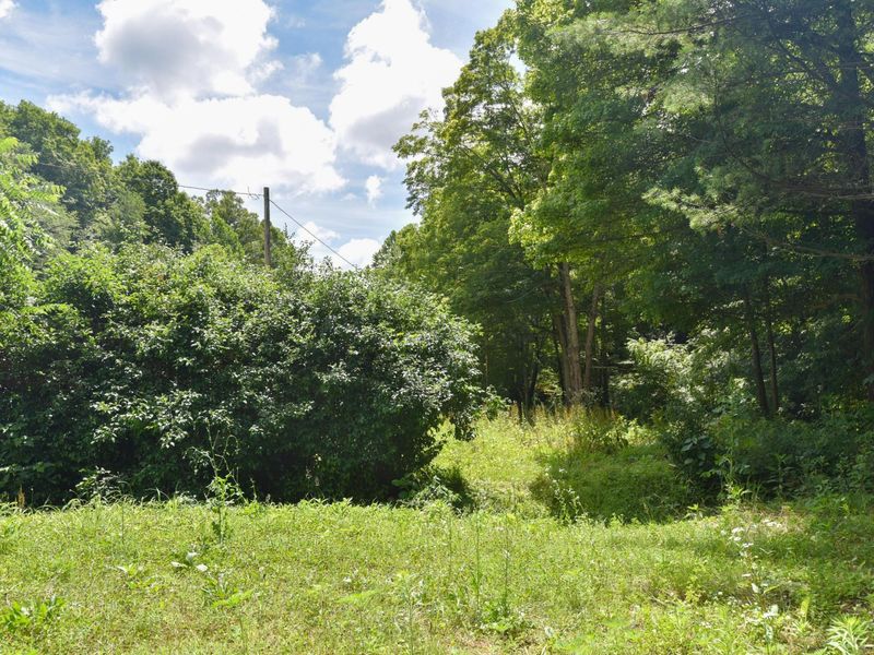23769 State Route 327, Laurelville, OH 43135 Photo 7
