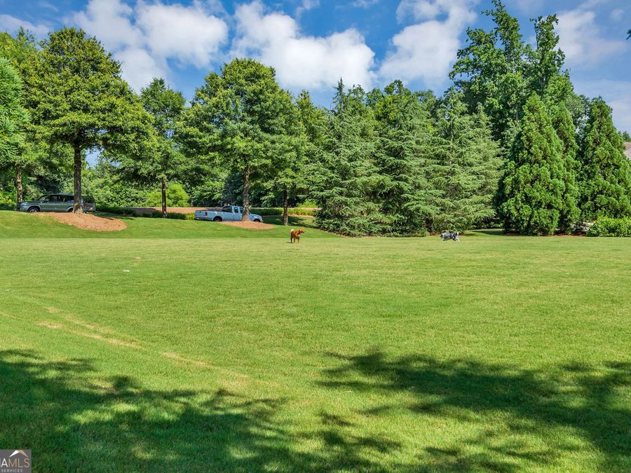 Property Image 62