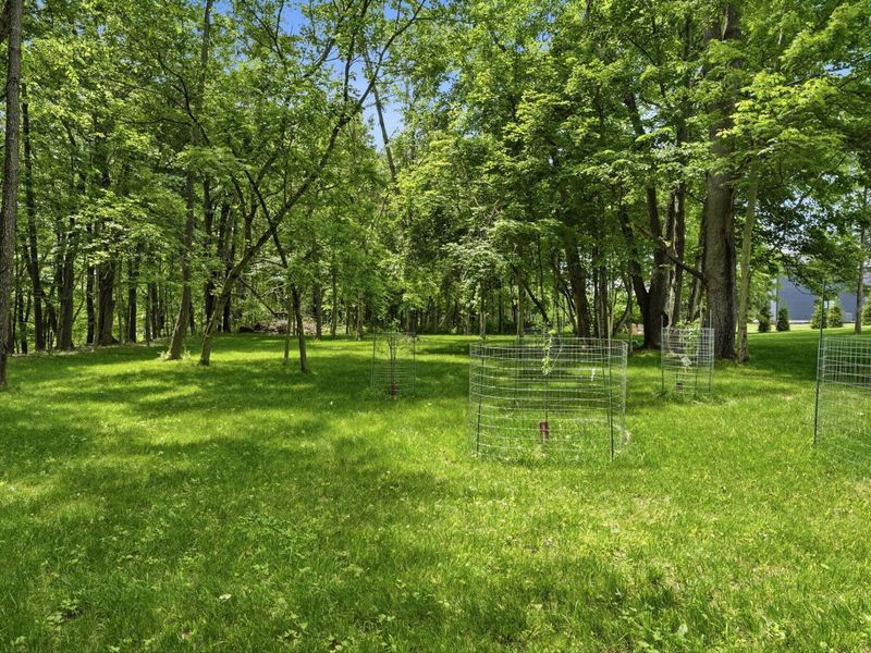 1015 Lale Point, Delaware, OH 43015 Photo 72