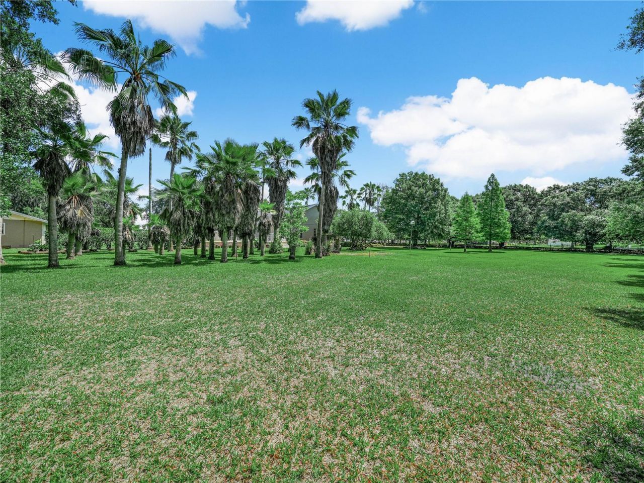 3611 N Forbes Road, Plant City, FL 33565 Photo
