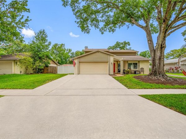15816 HOUND HORN LANE , TAMPA, FL 33624
