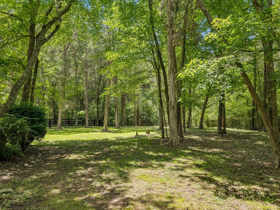 Property Image 81