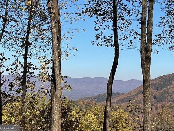 1189 Walnut Ridge, Ellijay, GA 30536