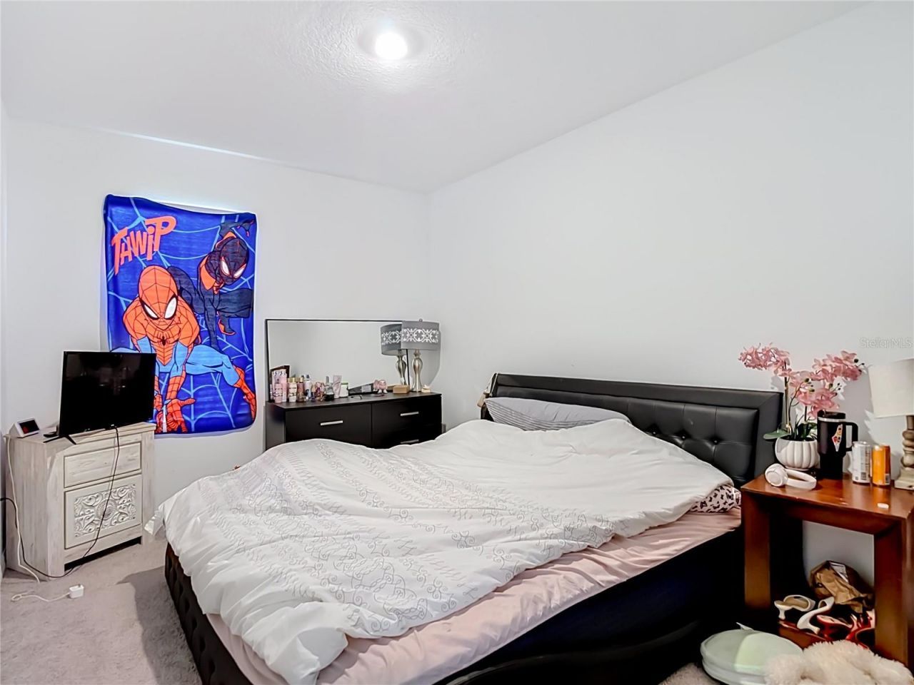 33327 Darley Dale Trail, Wesley Chapel, FL 33545 Photo