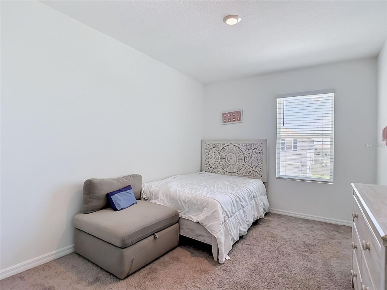 33327 Darley Dale Trail, Wesley Chapel, FL 33545 Photo