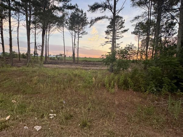 18111 Alabama Highway 71, Pisgah, AL 35765
