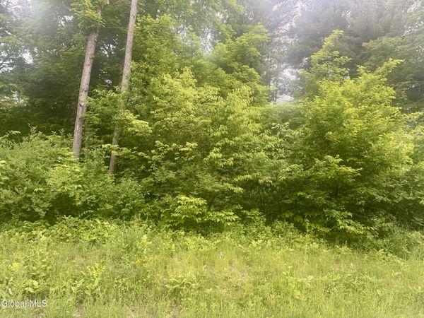 L2 Reynolds Road, Duanesburg, NY 12137