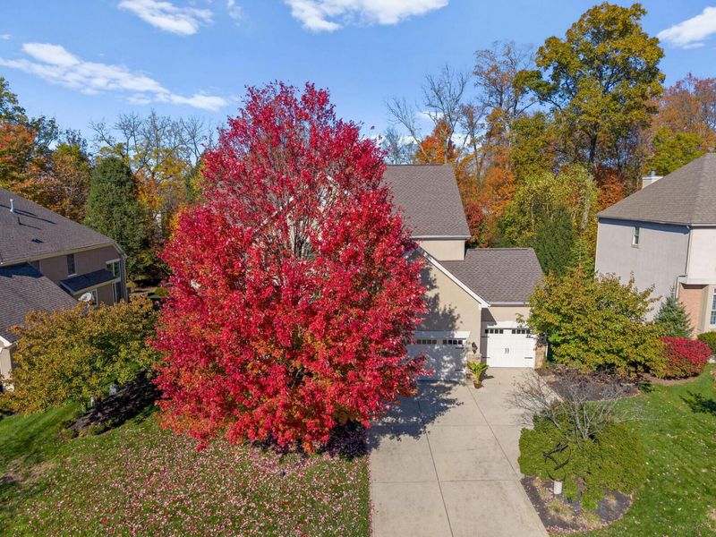 5107 Augusta Drive, Westerville, OH 43082 Photo 118
