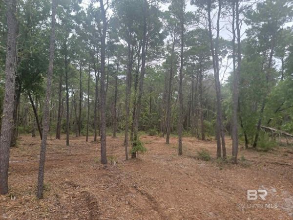 0 Primrose Lane, Gulf Shores, AL 36542