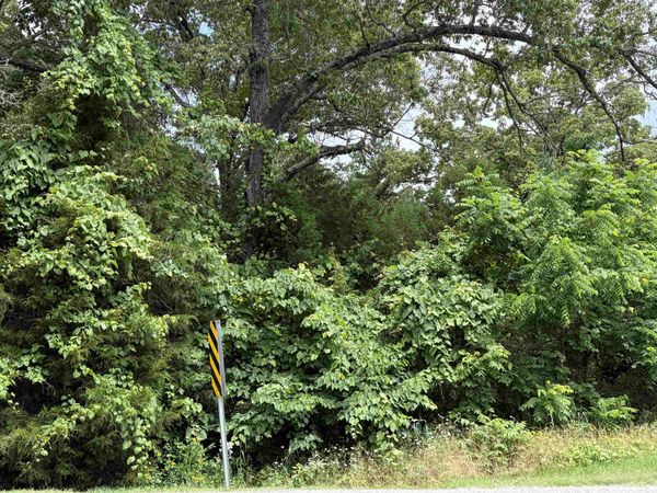 0 56 Highway , Brockwell, AR 72157
